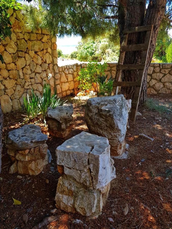 Apartmani Vrancic Mandre Extérieur photo